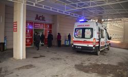 Şanlıurfa’da şarampole devrilen otomobil can aldı