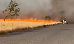 Şanlıurfa’da onlarca dönüm buğday ekili alan küle döndü