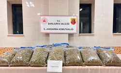 Şanlıurfa dahil 24 ilde zehir tacirlerine operasyon
