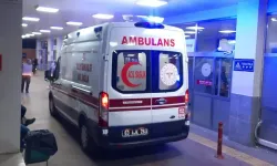 Kamyonet devrildi, büyükbaş hayvanlar kaçtı!