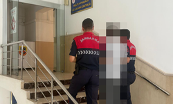 Jandarmadan başarılı operasyon: Hırsızlık hükümlüsü gözaltında