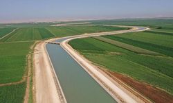 Urfa'da 344 kişiye rekor ceza yazıldı!