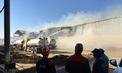 Urfa'da hayvan çiftliğinde büyük yangın