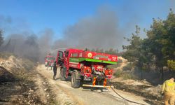 Şanlıurfa’da ormanlık alanda yangın!