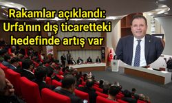 Rakamlar açıklandı: Urfa'nın dış ticaretteki hedefinde artış var