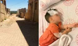 Urfa’daki olaya Bakanlık el koydu! Müfettiş görevlendirildi
