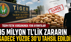 Şanlıurfa TİGEM'deki fıstık vurgununda yeni detaylar...