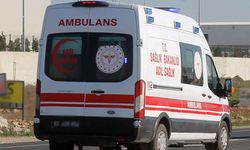 Şanlıurfa’da taşlı sopalı kavga: 2 yaralı