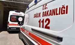 Yola aniden çıkan eşek kazaya neden oldu: 4 yaralı