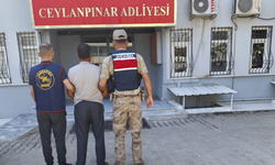 Ceylanpınar’da firari hükümlü jandarmadan kaçamadı