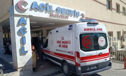 Şanlıurfa’da korkutan kaza! Traktör devrildi, 2 yaralı