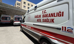 Siverek’te elektrik akımına kapıldı, metrelerce yükseklikten düştü