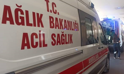 Siverek’te mobilya yüklü tır şarampole devrildi: Sürücü yaralandı