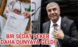 Bir Sedat Peker daha dünyaya geldi
