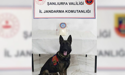 Birecik’te uyuşturucu operasyonu: 3 şahsa adli işlem