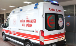 Viranşehir’de ortalık karıştı! Taş ve sopalar havada uçuştu