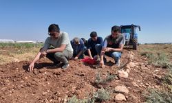 Şanlıurfa’da tarihi safran üretimi büyükşehir desteğiyle yeniden canlanıyor
