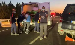 Urfa'da korkunç kaza: 2 ölü