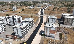 Siverek’te Ramazan Baran Bulvarı Sıcak Asfaltla Yenilendi
