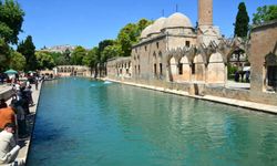 Urfalılar en çok hangi şehirde yaşıyor? İşte dikkat çeken nüfus dağılımı...