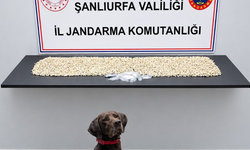 Şanlıurfa’da zehir tacirlerine darbe: Binlerce Captagon ele geçirildi