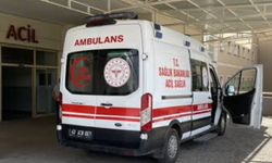 Şanlıurfa-Suruç yolunda feci kaza: 3 kişi yaralandı