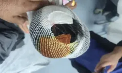Urfa’da başıboş köpek dehşeti!