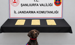 Şanlıurfa’da uyuşturucu operasyonu