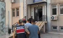 Bahçeden 1,1 ton fıstık çaldılar! Jandarma peşlerine düştü