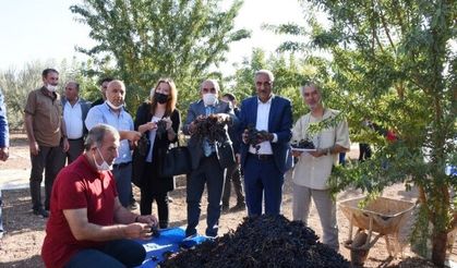 Hilvan'daki festivalde renkli görüntüler