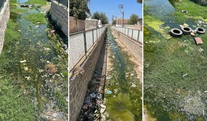 Ceylanpınar'ın son hali...