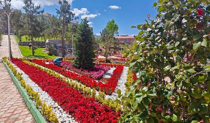 Eyyübiye'deki Botanik Park bitti! Açılışa hazırlanıyor