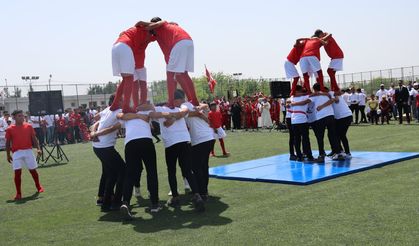 Harran'dan adına yakışır 19 Mayıs kutlaması...