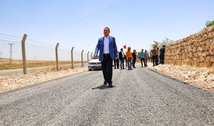 Harran'da asfalt çalışmaları sürüyor