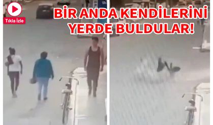 Sokak köpeklerinin kavgası bakın nasıl son buldu?