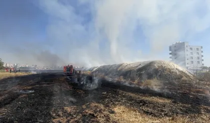 Siverek'te anız yangını 200 tona mal oldu
