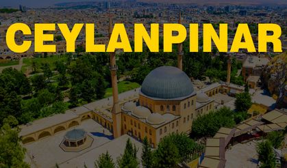 İşte Ceylanpınar'daki muhtarların telefon numaraları