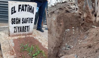 Urfa'da hayrete düşüren olay!