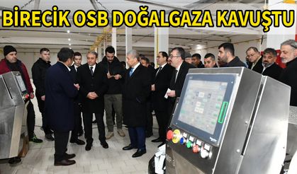 Vali Şıldak Birecik'te üretime geçen fabrikaları gezdi
