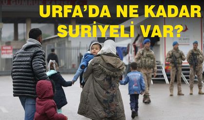 Urfa'da ne kadar Suriyeli var?