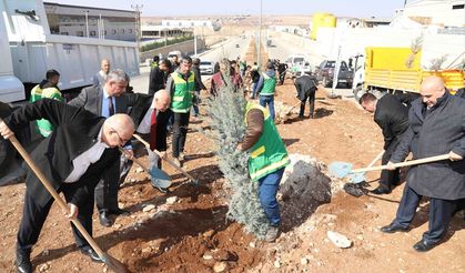 Karaköprü Belediyesi bu kez OSB'ye ağaç dikti