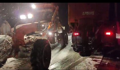 Urfa'nın kuzeyinde kar yağışı etkili oluyor