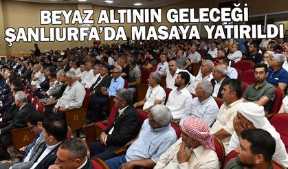 BEYAZ ALTININ GELECEĞİ ŞANLIURFA’DA MASAYA YATIRILDI