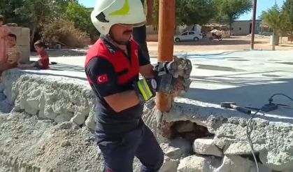 Harran’da Yavru Kedi İçin Seferber Oldular