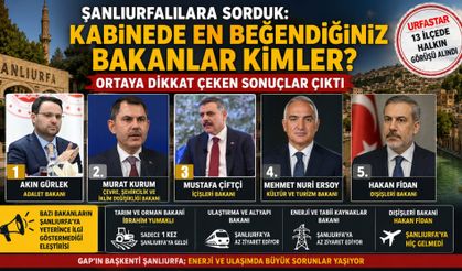 Şanlıurfalılardan Kabine Yorumu! En Beğenilen Bakanlar Belli Oldu
