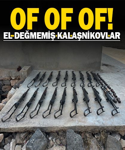 Urfa'da İHA destekli operasyon...