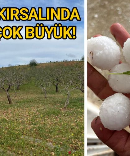 Çiftçilerden Vali Şıldak'a çağrı...