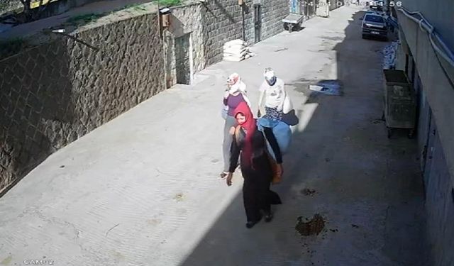 Urfa'da kadın hırsızlar çoğaldı