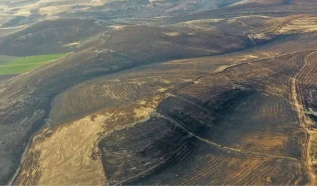 Diyarbakır'daki yangın içimizi yaktı