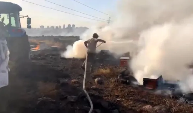 Urfa'da yüzlerce arı kovanı anız yangınında kül oldu
